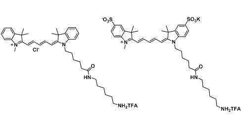Cyanine amine